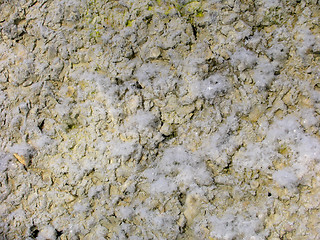 Image showing Hoar-frost on concrete wall