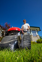 Image showing Front lawn mow