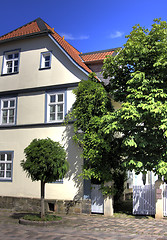 Image showing baroque house and chestnut tree