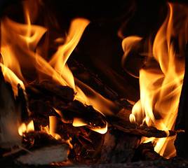 Image showing Fire