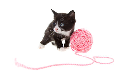 Image showing Kitten with string