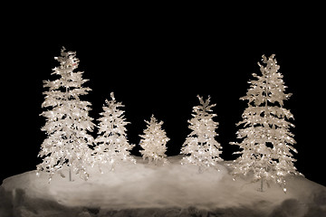 Image showing Christmas Trees, isolated