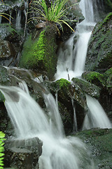 Image showing waterfalls