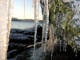 Image showing Icicles