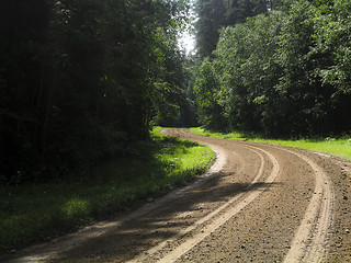 Image showing A road in the forest