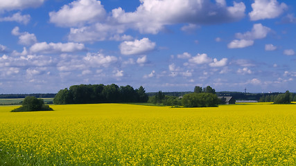 Image showing Wide open countryside