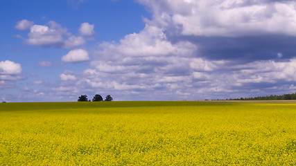 Image showing Wide open countryside