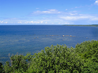 Image showing Baltic Sea coast