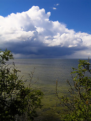 Image showing Baltic Sea coast