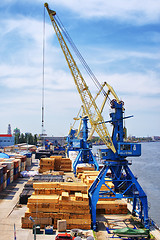 Image showing Cranes in central cargo port