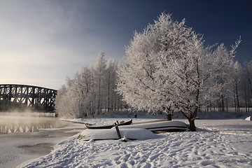 Image showing Cold day