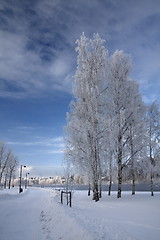 Image showing Cold day