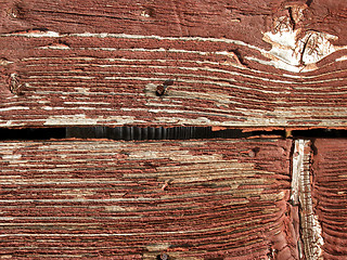 Image showing Wood texture