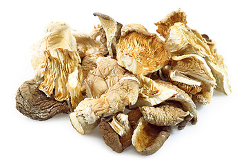 Image showing Asia mushrooms