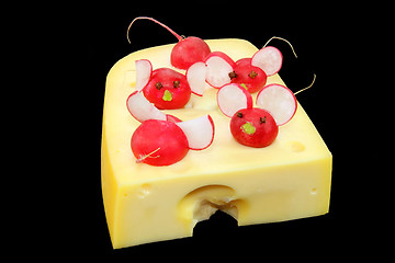 Image showing Garnished cheese