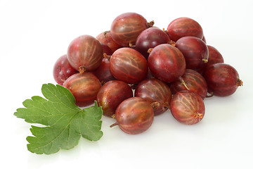 Image showing Gooseberry