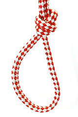 Image showing Rope with knot