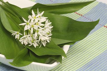 Image showing Wild garlic