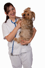 Image showing Animal Health Care Worker