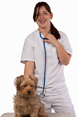 Image showing Vet Student