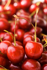 Image showing Sweet cherry