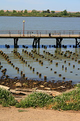 Image showing Old Pier