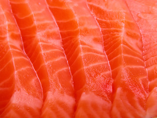 Image showing Salmon meat close-up