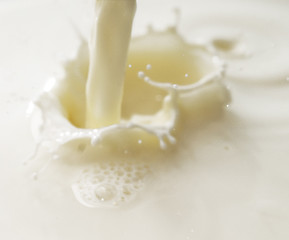 Image showing milk