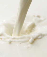 Image showing milk