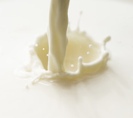 Image showing milk