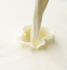 Image showing milk