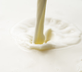 Image showing milk