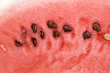 Image showing watermelon