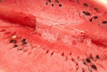 Image showing watermelon