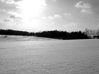 Image showing Winter landscape