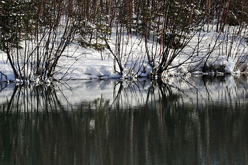 Image showing Small lake in winter