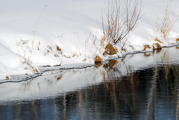 Image showing Small lake in winter