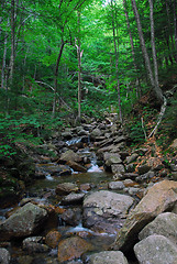 Image showing Small water falls