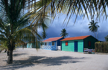 Image showing Saona island village and palm trees- Dominican republic