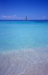 Image showing Blue lagoon - Bayahibe beach  - Dominican republic