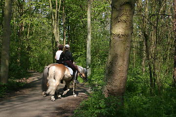 Image showing Horseriding