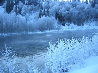 Image showing Frost by the river