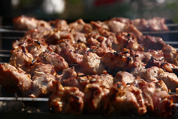 Image showing Fried shish kebab close up