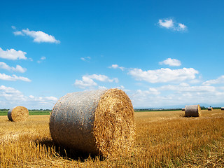 Image showing Countryside landscape with bales of hay