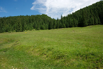 Image showing Hills and forest