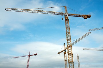 Image showing Cranes