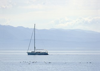 Image showing Sailing