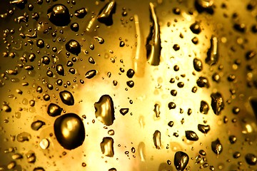 Image showing Droplets