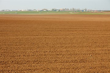 Image showing Agriculture