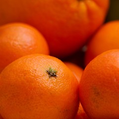 Image showing Tangerine